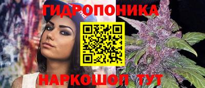 дмт Анапа