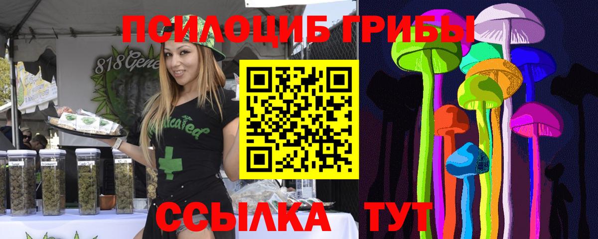 Вышний Волочёк  Галлюциногенные грибы ЛСД  Вход с VPN 